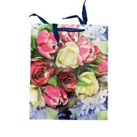 Punga cadou medie, diverse modele, 26*32 cm