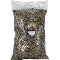 Seminte de floarea soarelui pestrite, Gold, 2,5kg