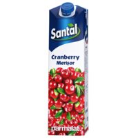 Santal Merisoare 1L Cutie – Băutură Răcoritoare cu Merișoare